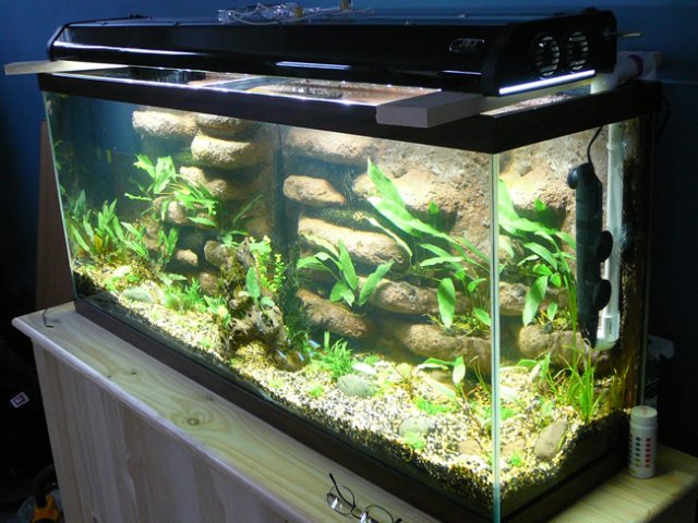 Diy Led Lighting Fixture Aquariacentral Com - Diy Aquarium Lighting Fixtures Diy Led Lighting Fixture Aquariacentral Com - Diy Aquarium Lighting Fixtures