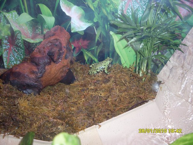 SDC11073.JPG