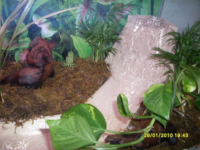 SDC11074.JPG