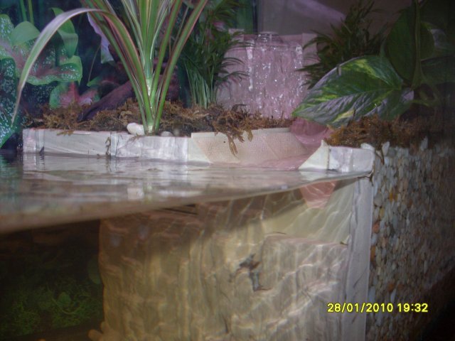 SDC11063.JPG