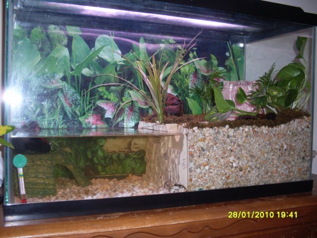 SDC11068.JPG