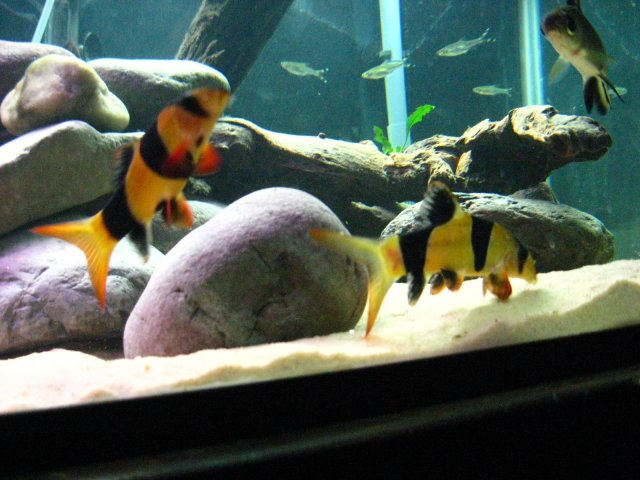 IMG_3347.JPG