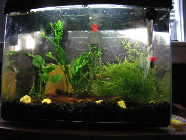 rcs fts 2.jpg