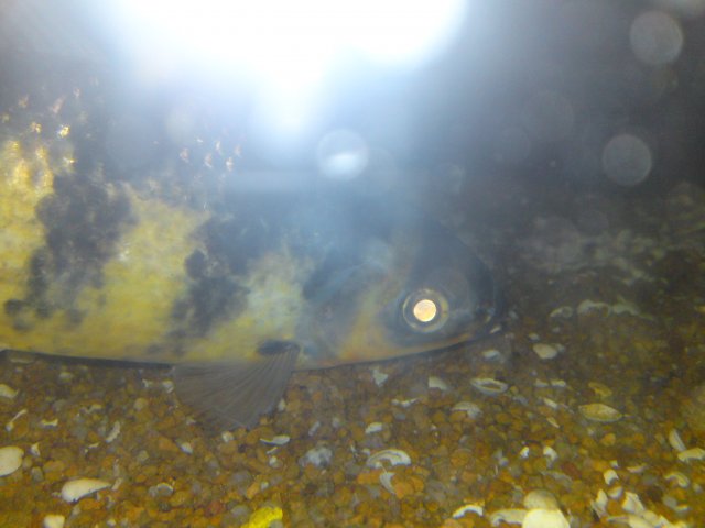 DSC01266.JPG
