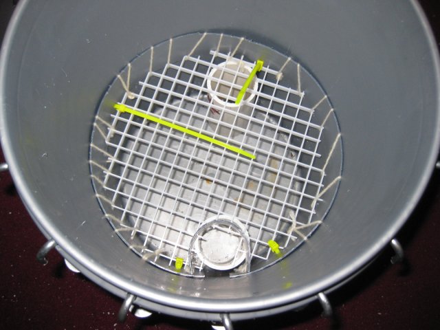 IMG_8864.JPG