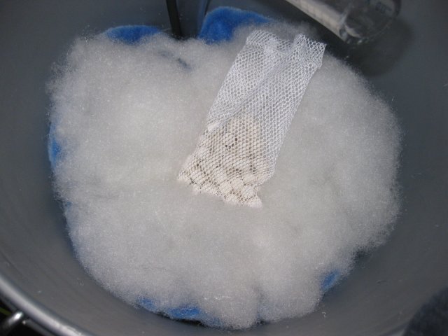 IMG_8869.JPG IMG_8869.JPG