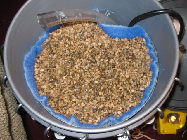 IMG_8871.JPG IMG_8871.JPG