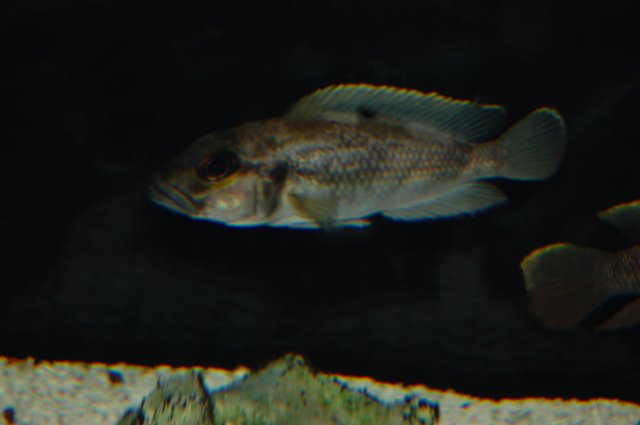 010.JPG