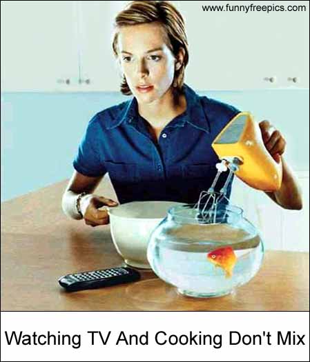 fish_blender.jpg