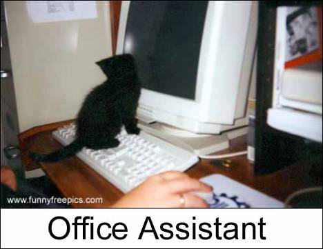 office_assistant.jpg