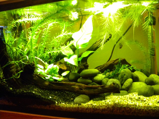 2.5.10 full tank.jpg
