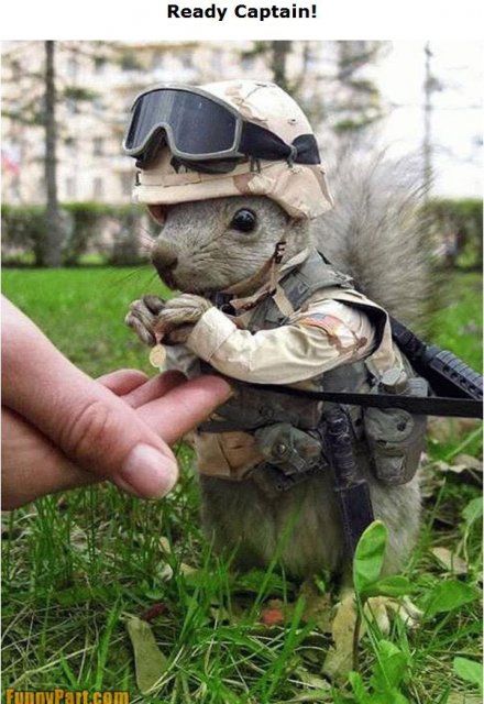 ready captin.jpg