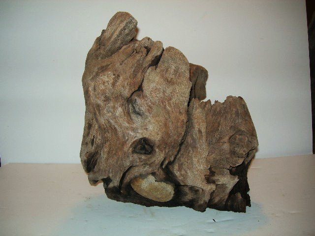rockstump 005.JPG rockstump 005.JPG