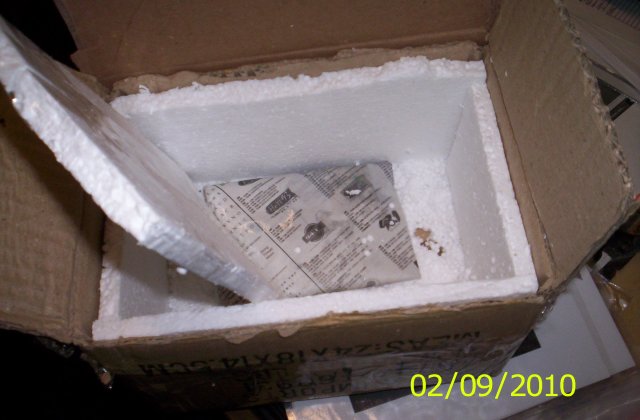 100_2438.JPG