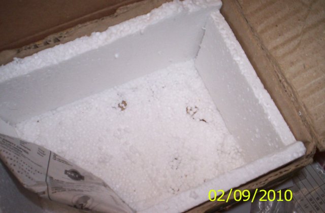 100_2442.JPG