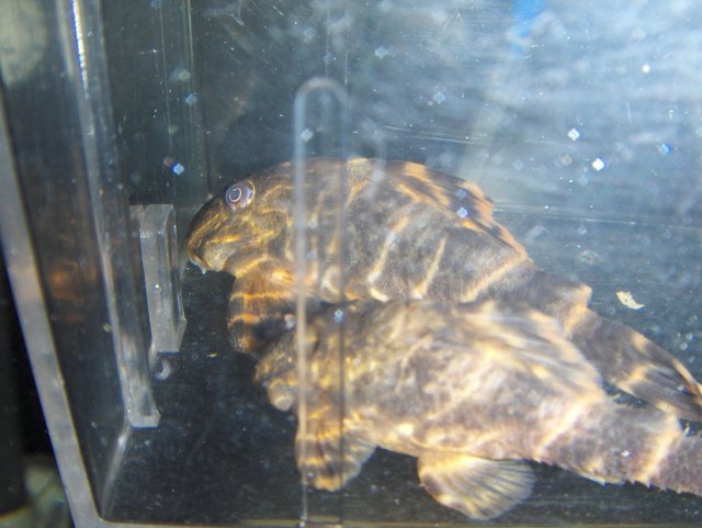 HPIM4759.JPG