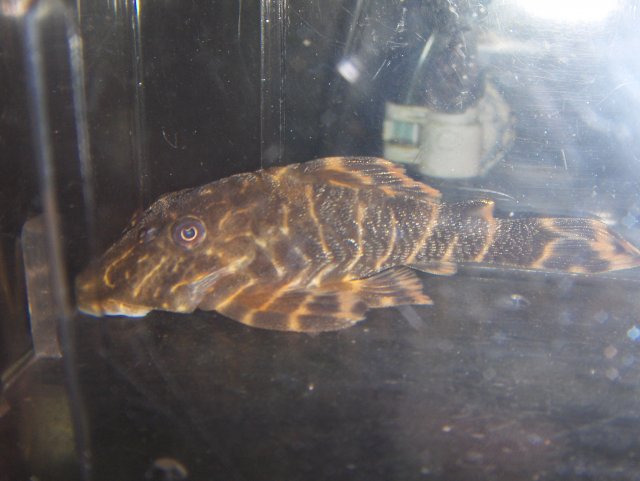 HPIM4768.JPG
