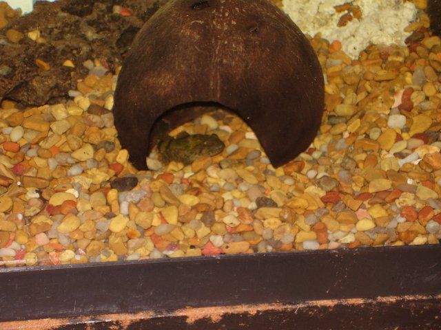 009.JPG