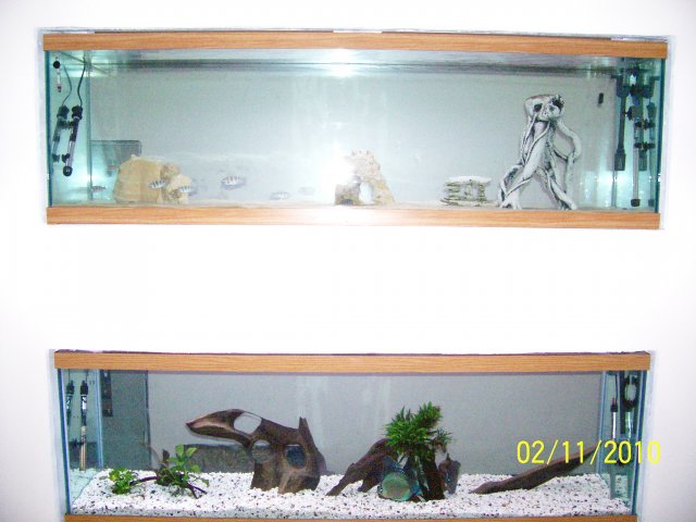 000_3917.jpg