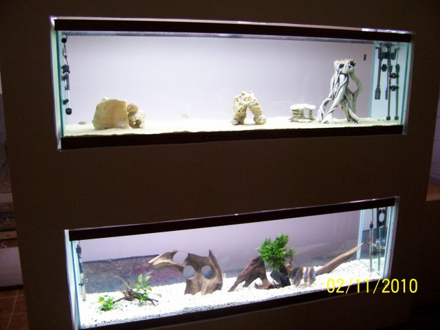 000_3919.jpg