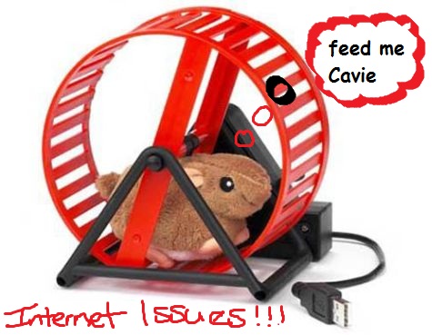 USB-Hamster-Wheel.jpg