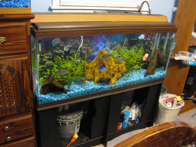 IMG_8901.JPG IMG_8901.JPG