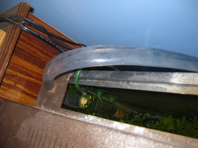 IMG_8895.JPG IMG_8895.JPG