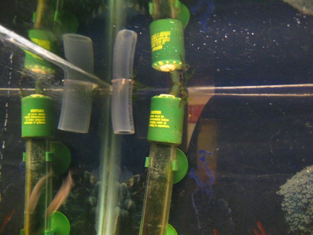 IMG_8894.JPG IMG_8894.JPG