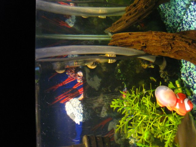 IMG_8893.JPG IMG_8893.JPG