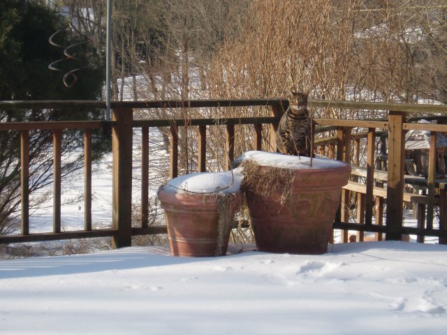 mar07 027.jpg