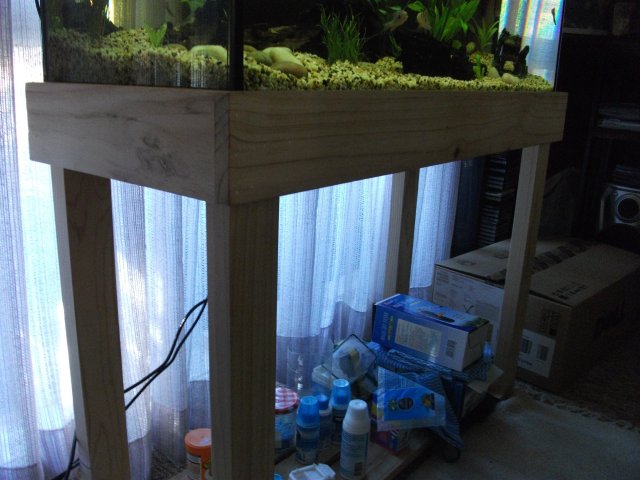 DSCF0202.JPG DSCF0202.JPG