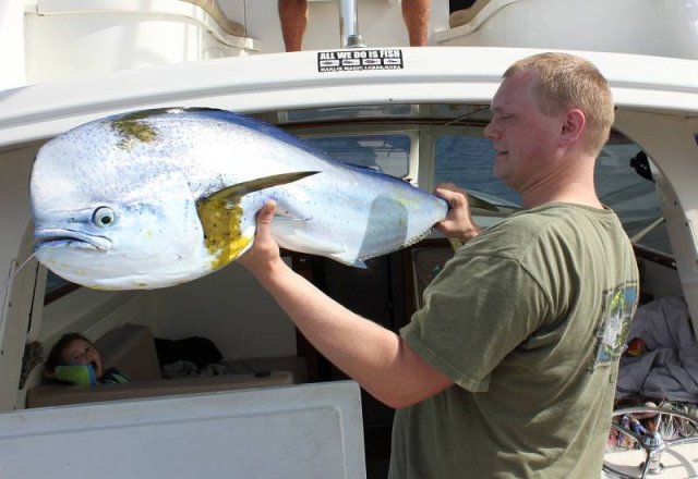 Charter Trip 04 David Mahi Mahi.jpg