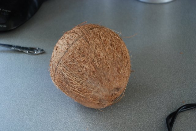 diy coconut breeding hut 001.jpg