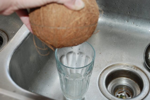 diy coconut breeding hut 003.jpg