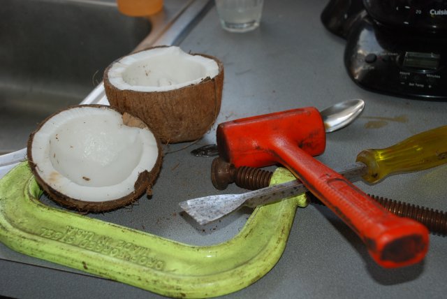 diy coconut breeding hut 004.jpg