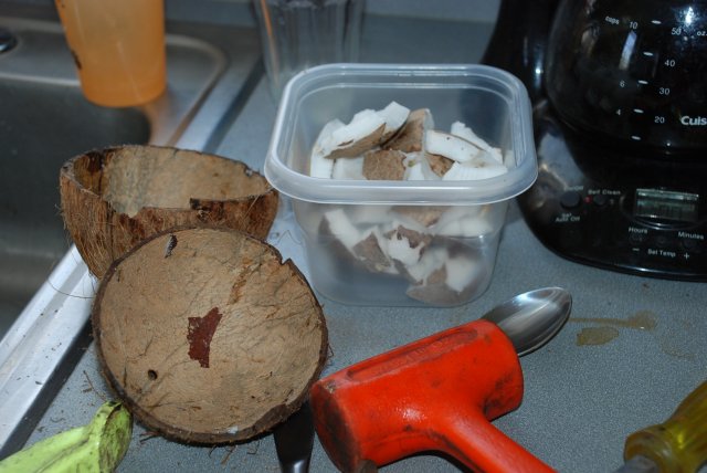 diy coconut breeding hut 005.jpg