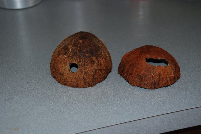 diy coconut breeding hut 006.jpg