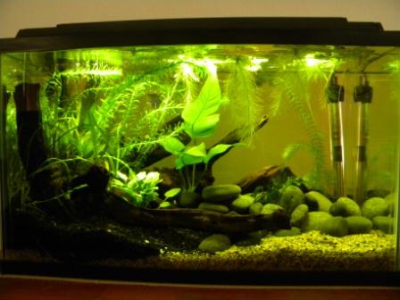 2.7.10 full tank.jpg