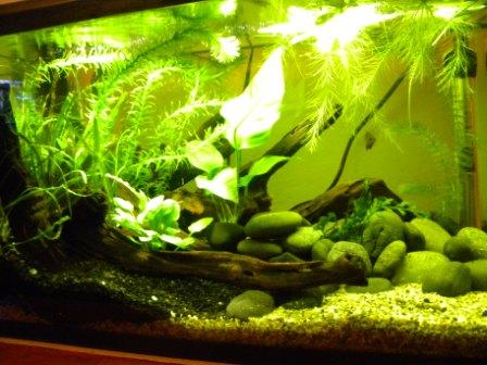 2.5.10 full tank.jpg