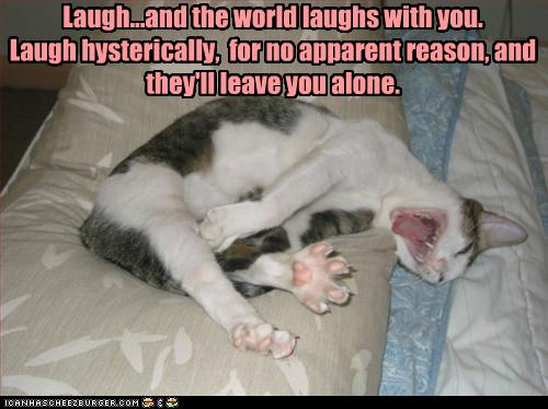 funny-pictures-cat-laughs-hysterically.jpg