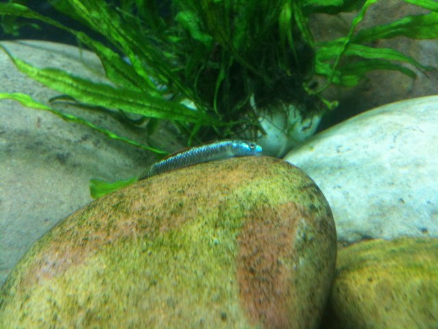 IMG_0127.JPG