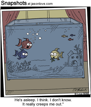 00752-funny-cartoons-sleeping-fish.gif