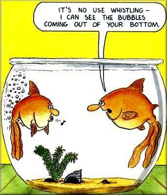 whistling_fish_cartoon_funny.jpg