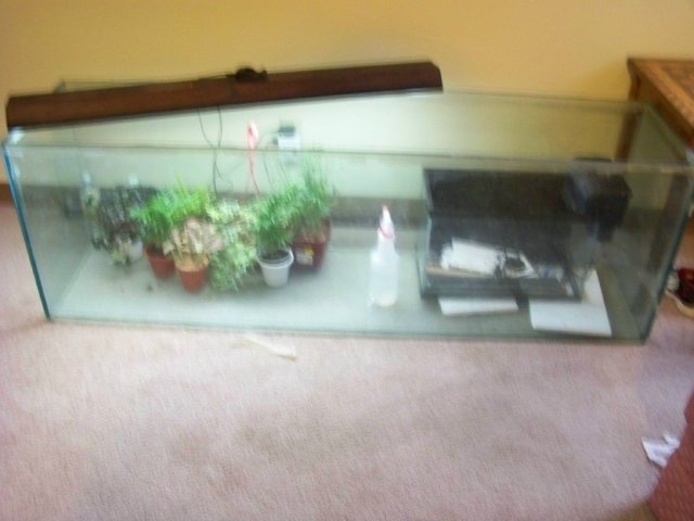 125 Gallon Pre-Construction.jpg 125 Gallon Pre-Construction.jpg