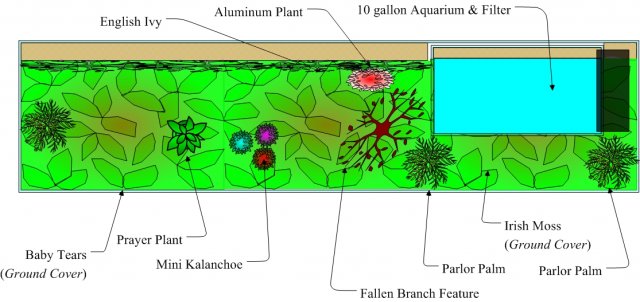 T-Quarium Plan plant scm.jpg T-Quarium Plan plant scm.jpg