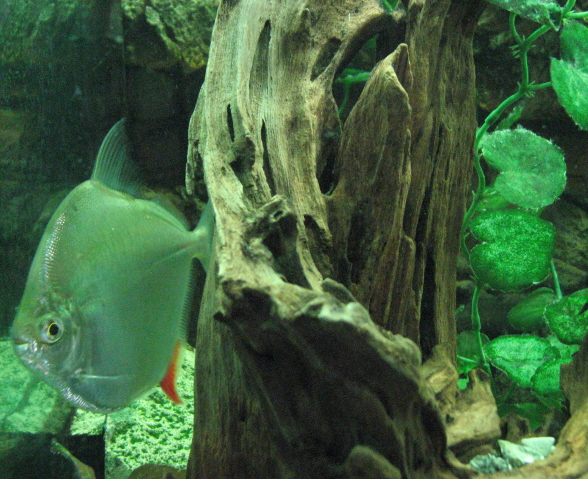 IMG_5351a.jpg