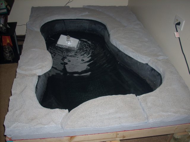 DSCN0729.JPG
