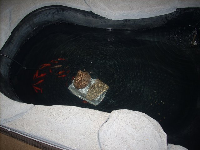 DSCN0734.JPG