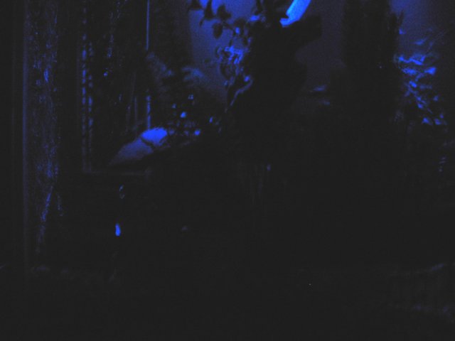 2007_0226_213925AA.JPG