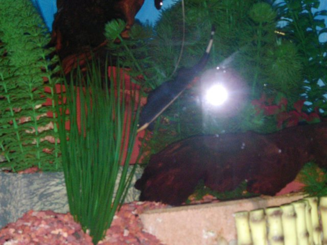 2007_0226_214038AA.JPG